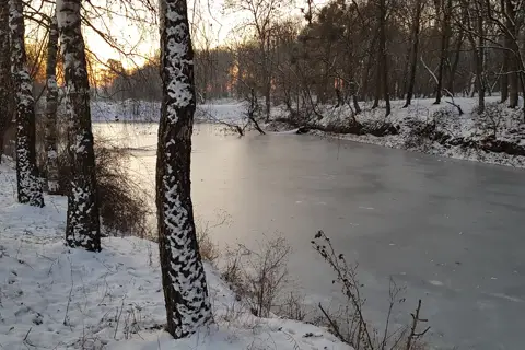Маківський парк — фото 2