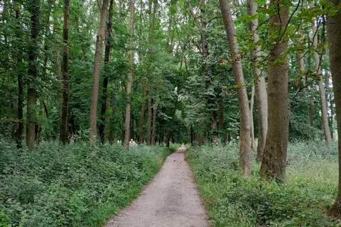 Маківський парк — фото 9