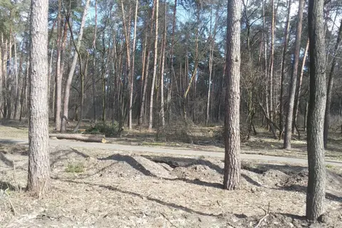 Парк «Спортивний» — фото 10