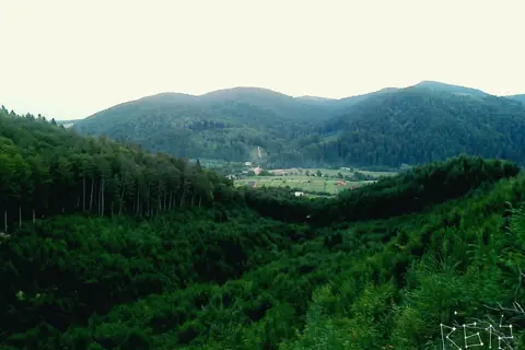 Банилівський парк — фото 1