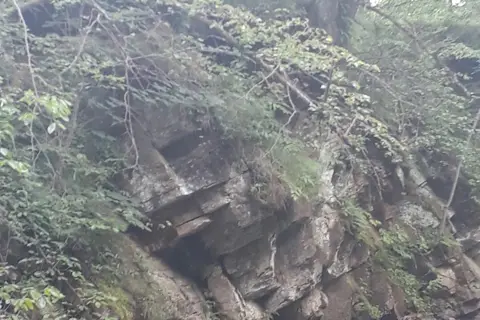 Банилівський парк — фото 5