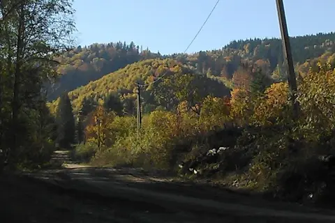 Банилівський парк — фото 8