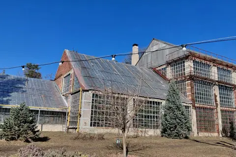Ботанічний сад ХНУ ім. В.Н. Каразіна — фото 10