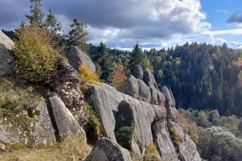 Національний природний парк «Сколівські Бескиди» — фото 5