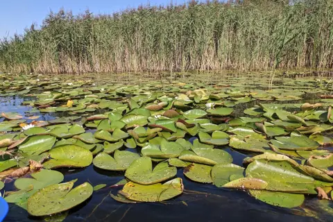 Національний природний парк «Шацький» — фото 11