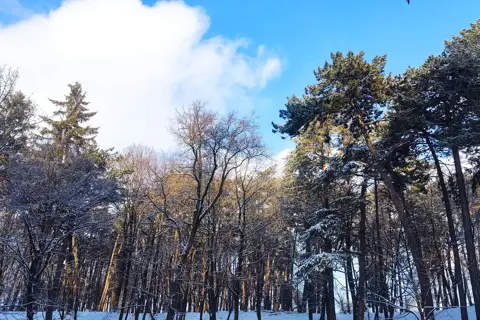 Личаківський парк — фото 3