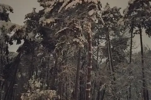 Личаківський парк — фото 7