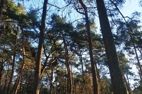 Личаківський парк — фото 11