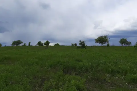 Парк дикої природи «Ольхова балка» — фото 4