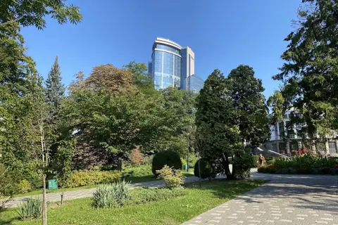 Ботанічний сад ім. академіка О. В. Фоміна — фото 9