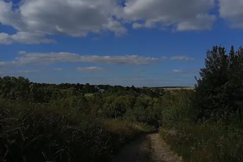 Говорівський парк — фото 10