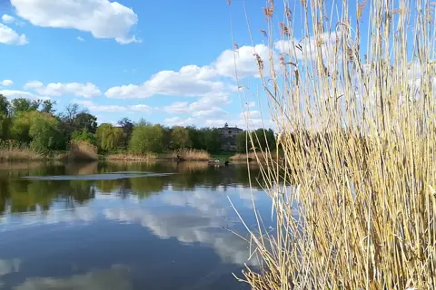 Міський парк культури і відпочинку «Молодіжний» — фото 2