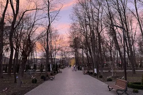 Міський парк культури і відпочинку «Молодіжний» — фото 3