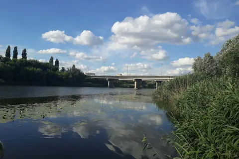 Міський парк культури і відпочинку «Молодіжний» — фото 6
