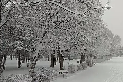 Парк «Юність» — фото 13