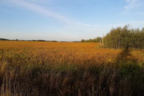 Старожадівський парк — фото 11