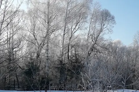 Старожадівський парк — фото 14
