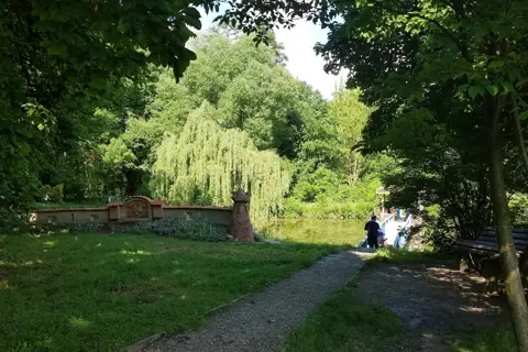 Сторожинецький парк — фото 3