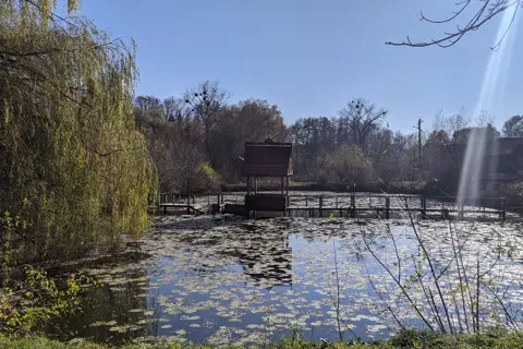 Сторожинецький парк — фото 4