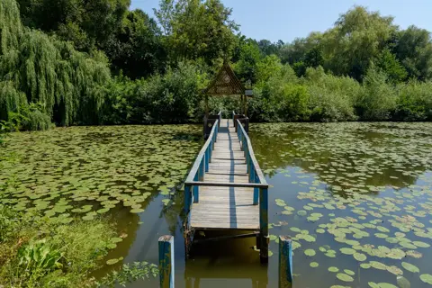 Сторожинецький парк — фото 8