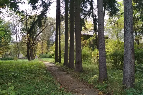 Сторожинецький парк — фото 9
