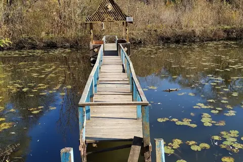 Сторожинецький парк — фото 11