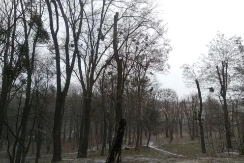Парк ім. Ф. Шиллера — фото 6