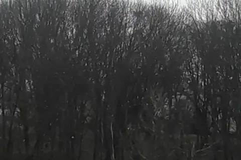Парк ім. Ф. Шиллера — фото 8