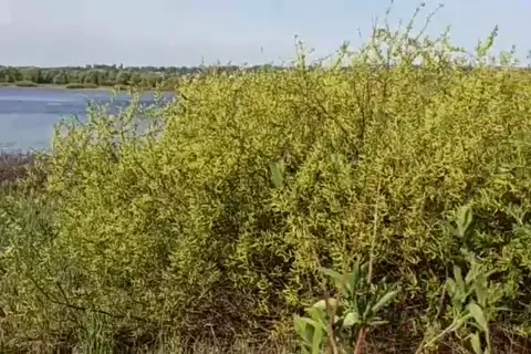 Мезинський національний природний парк — фото 8