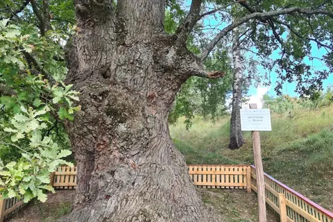 Мезинський національний природний парк — фото 12