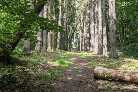 Мезинський національний природний парк — фото 13