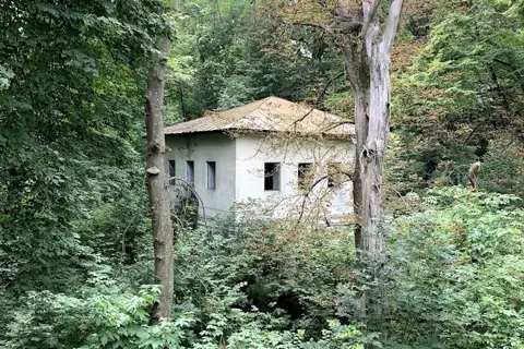 Тиницький парк — фото 7