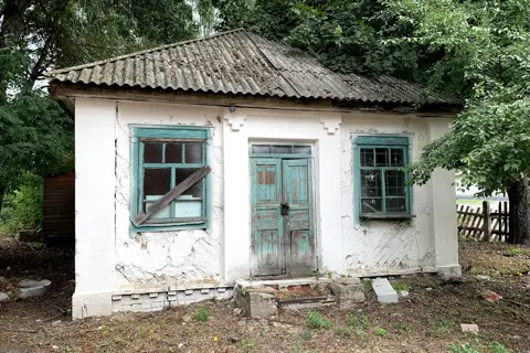 Тиницький парк — фото 8