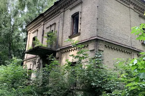 Тиницький парк — фото 9