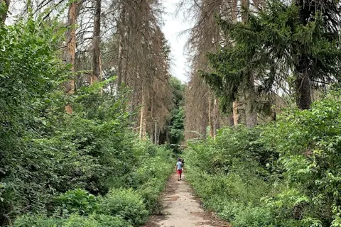 Тиницький парк — фото 11