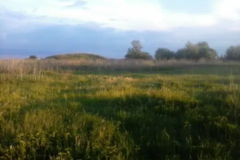 Тиницький парк — фото 14
