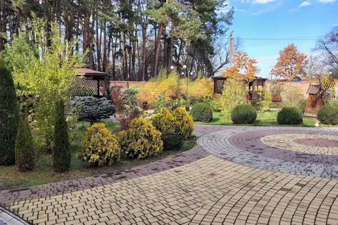 Ковпаківський лісопарк — фото 4