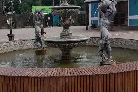 Ковпаківський лісопарк — фото 13