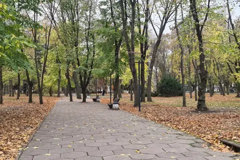 Центральний парк культури та відпочинку імені Тараса Шевченка — фото 3