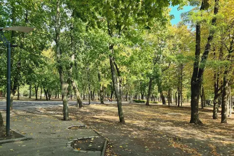Центральний парк культури та відпочинку імені Тараса Шевченка — фото 6