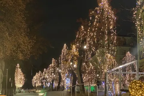 Центральний парк культури та відпочинку імені Тараса Шевченка — фото 7