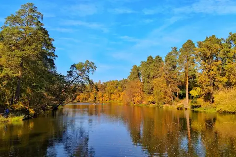 Пуща-Водицький лісопарк — фото 4