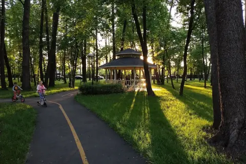 Приірпіння (парк) — фото 3