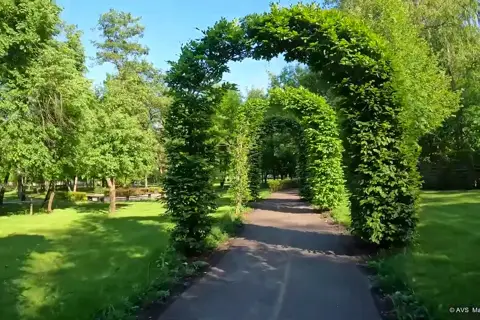 Приірпіння (парк) — фото 7