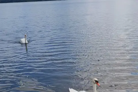 Буджацькі степи (Національний природний парк) — фото 1