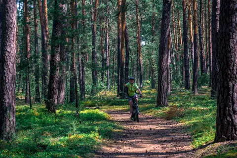 Буджацькі степи (Національний природний парк) — фото 8