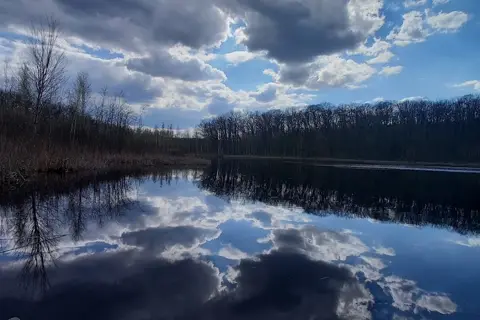 Національний природний парк «Чорний Ліс» — фото 7