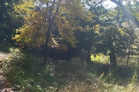 Національний природний парк «Чорний Ліс» — фото 11