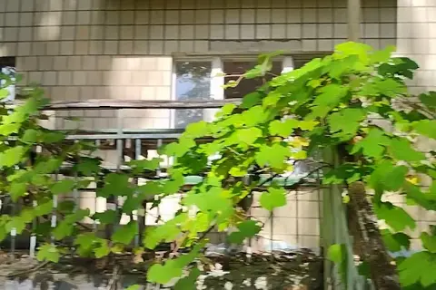 Національний природний парк «Чорний Ліс» — фото 14