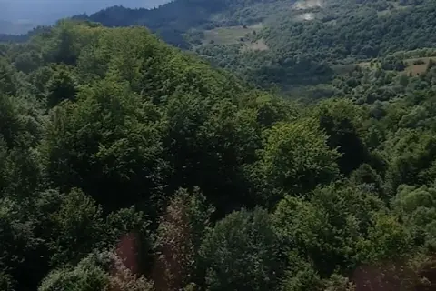Ужанський національний природний парк — фото 8